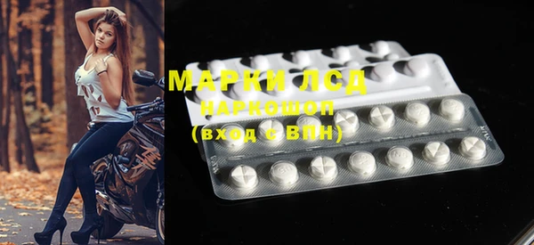 прущие грибы Абаза