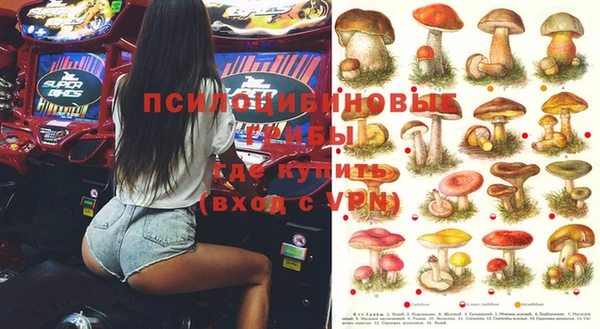 дживик Алексеевка
